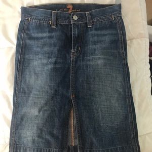 Luxury Brand Denim Skirt